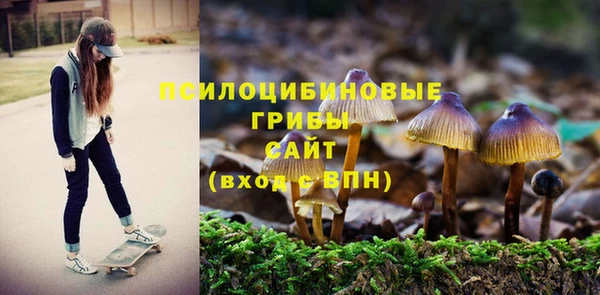 соль курить ск Арсеньев