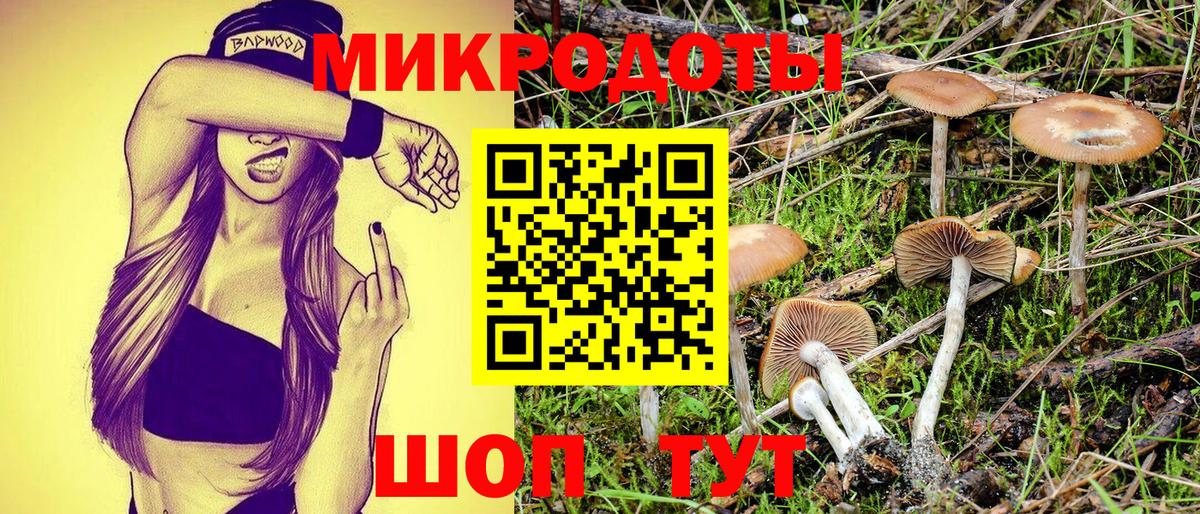 Псилоцибиновые грибы ЛСД Октябрьский