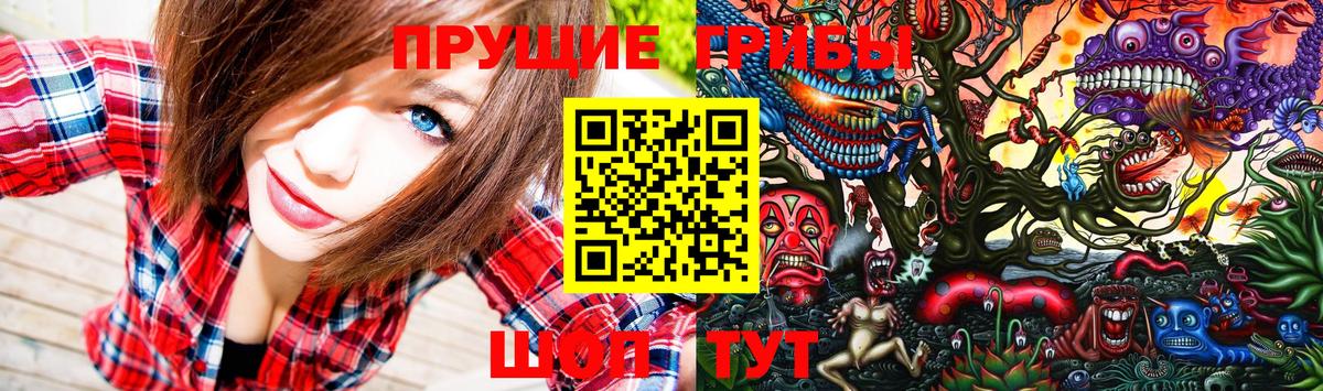 Октябрьский  Галлюциногенные грибы Psilocybine cubensis  Галлюциногенные грибы Psilocybine cubensis  Вход с VPN 